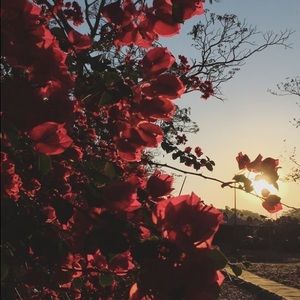 Meet your Posher, Claudia